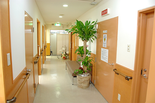 整形外科とリウマチ科の違い